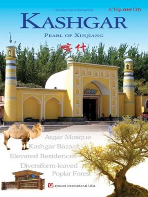 cover image of 新疆魅力城市系列：喀什